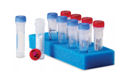 巴西曲霉 Aspergillus brasiliensis ATCC 16404 Quanti-Cult Plus Aspergillus brasiliensis ATCC® 16404™