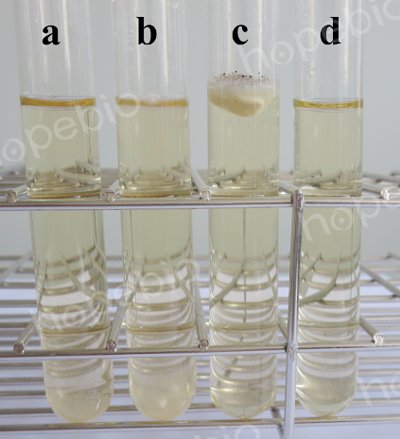 霉菌液体培养基微生物质控结果