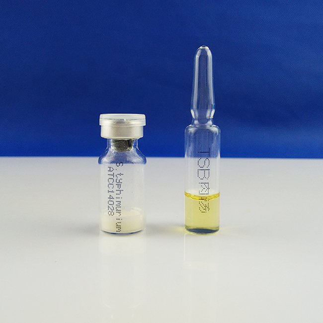 Salmonella typhimurium