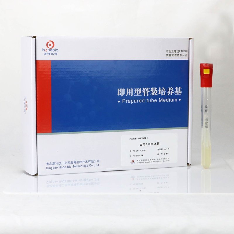 King’s B Medium Tube