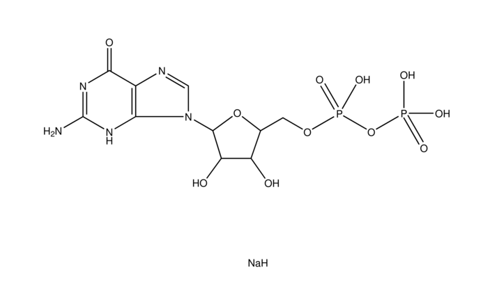 鸟苷 5'-二磷酸 钠盐 Guanosine 5'-diphosphate sodium salt