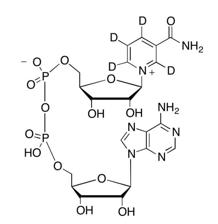 β-烟酰胺腺嘌呤二核苷酸-d4 beta-Nicotinamide Adenine Dinucleotide-d4