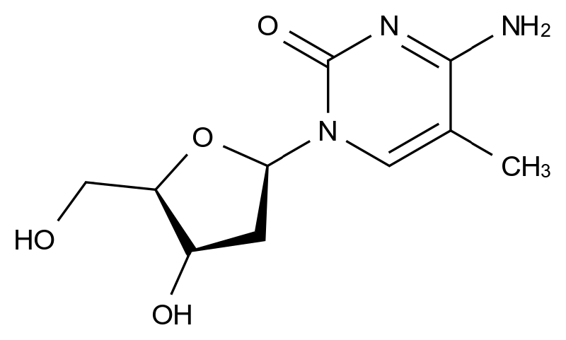 5-甲基-2'-脱氧胞苷 5-Methyl-2'-deoxycytidine