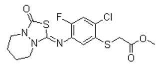 乙腈中嗪草酸甲酯溶液，1000μg/mL Fluthiacet-methyl Solution in Acetonitrile, 1000μg/mL