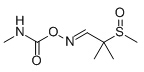 甲醇中涕灭威亚砜溶液，100μg/mL Aldicarb-sulfoxide Solution in Methanol, 100μg/mL