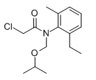 正己烷中异丙草胺溶液，1000μg/mL Propisochlor Solution in Hexane, 1000μg/mL