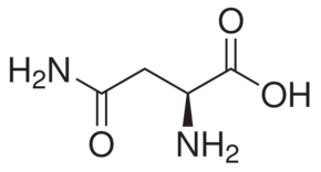 水中L-天冬酰胺溶液，100μg/mL L-Asparagine Solution in Water, 100μg/mL