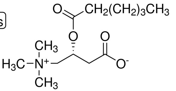 乙腈/水中己酰基-L-肉碱 (内盐)溶液，1000μg/mL Hexanoyl-L-carnitine (inner salt) Solution in Acetonitrile/Water, 1000μg/mL