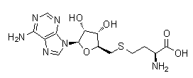 S-(5'-腺苷)-L-高半胱氨酸 S-(5′-Adenosyl)-L-homocysteine