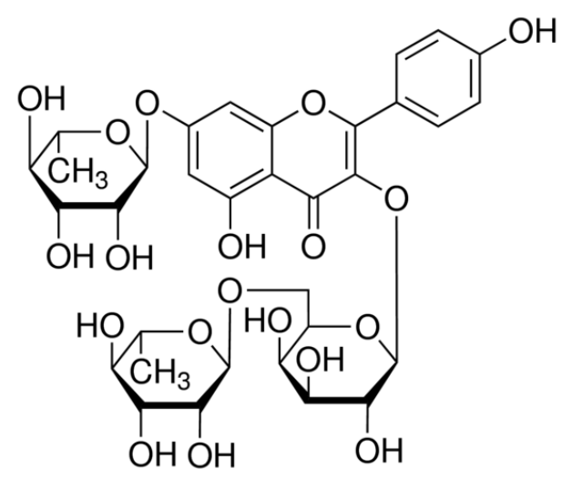 甲醇中刺槐素溶液，100μg/mL Robinin Solution in Methanol, 100μg/mL
