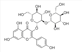 二甲基亚砜中山奈酚-3-O-槐糖苷溶液，1000μg/mL Kaempferol-3-O-sophoroside Solution in DMSO, 1000μg/mL