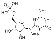 鸟苷酸 5'-Guanylic acid