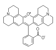 甲醇中罗丹明101内盐溶液，100μg/mL Rhodamine 101 inner salt Solution in Methanol, 100μg/mL