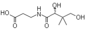 D-泛酸 D-Pantothenic acid