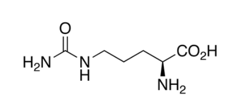 L-瓜氨酸 L-Citrulline
