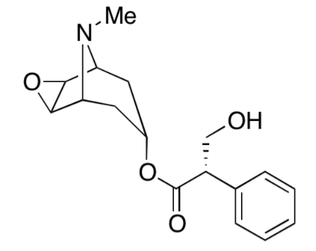 甲醇中(-)-东莨菪碱溶液，100μg/mL (-)-Scopolamine Solution in Methanol, 100μg/mL
