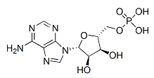 腺苷 5'-磷酸 Adenosine 5'-monophosphate