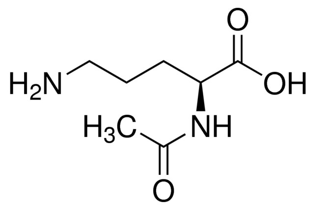 水中Nα-乙酰基-L-鸟氨酸溶液，100μg/mL Nα-Acetyl-L-ornithine Solution in Water, 100μg/mL