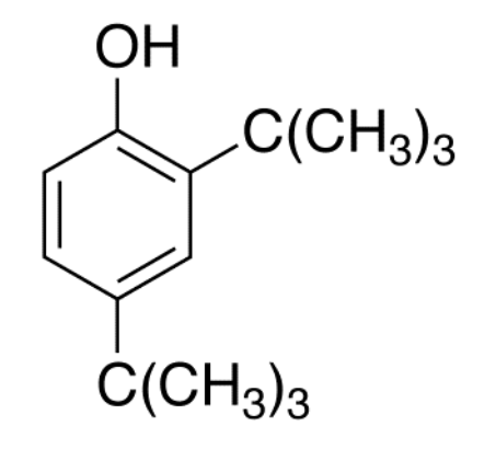 2,4-二特丁基苯酚 2,4-Di-tert-butylphenol