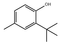 甲醇中2-叔丁基对甲酚溶液，1000μg/mL 2-tert-Butyl-p-cresol Solution in Methanol, 1000μg/mL
