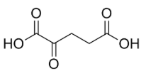 2-氧代戊二酸 2-Oxoglutaric acid