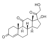 乙腈中可的松溶液，100μg/mL Cortisone Solution in Acetonitrile, 100μg/mL