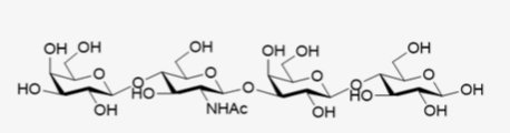 乙腈/水中乳糖-N-新四糖溶液，100μg/mL Lacto-N-neotetraose Solution in Acetonitrile/Water, 100μg/mL