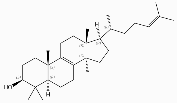 甲醇中羊毛甾醇溶液，100μg/mL Lanosterol Solution in Methanol, 100μg/mL