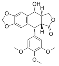 甲醇中鬼臼毒素溶液，1000μg/mL Podophyllotoxin Solution in Methanol, 1000μg/mL