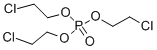 乙腈中磷酸三(2-氯乙基)酯溶液，1000μg/mL Tris(2-chloroethyl) phosphate Solution in Acetonitrile, 1000μg/mL