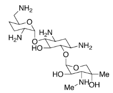 甲醇/水中庆大霉素C1a溶液，100μg/mL Gentamicin C1a Solution in Methanol/Water, 100μg/mL