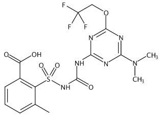 乙腈中氟胺磺隆(酸)溶液，100μg/mL Triflusulfuron Solution in Acetonitrile, 100μg/mL