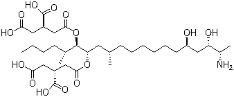 乙腈/水中伏马毒素B2(FB2)溶液，50μg/mL Fumonisin B2 Solution in Acetonitrile/Water, 50μg/mL