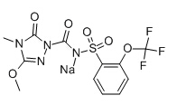 乙腈中氟唑磺隆钠溶液，100μg/mL Flucarbazone sodium Solution in Acetonitrile, 100μg/mL