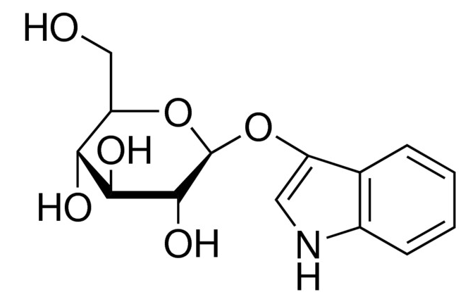 乙腈中吲哚基 β-D-葡萄糖苷溶液，1000μg/mL Indoxyl-β-D-glucoside Solution in Acetonitrile, 1000μg/mL