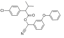 乙腈中α-氯氰菊酯溶液，100μg/mL α-Cypermethrin Solution in Acetonitrile, 100μg/mL