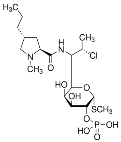 甲醇中克林霉素磷酸酯溶液，1000μg/mL Clindamycin phosphate Solution in Methanol, 1000μg/mL