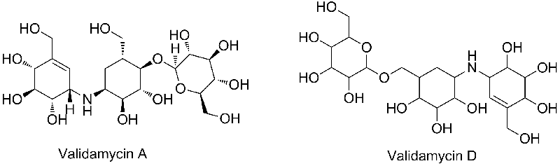 井冈霉素 Validamycin