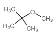 甲醇中甲基叔丁基醚溶液，2000μg/mL tert-Butyl methyl ether Solution in Methanol, 2000μg/mL