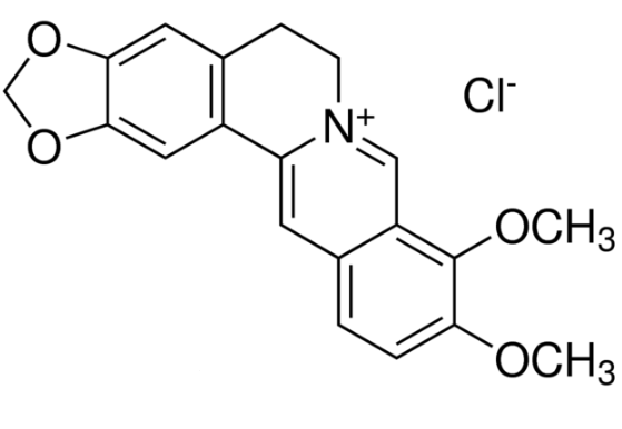 盐酸小檗碱 Berberine hydrochloride