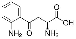 L-犬尿氨酸 L-Kynurenine
