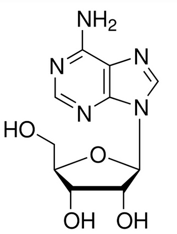 甲醇/水中腺苷溶液，1000μg/mL Adenosine Solution in Methanol/Water, 1000μg/mL