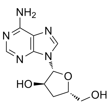 虫草素 Cordycepin