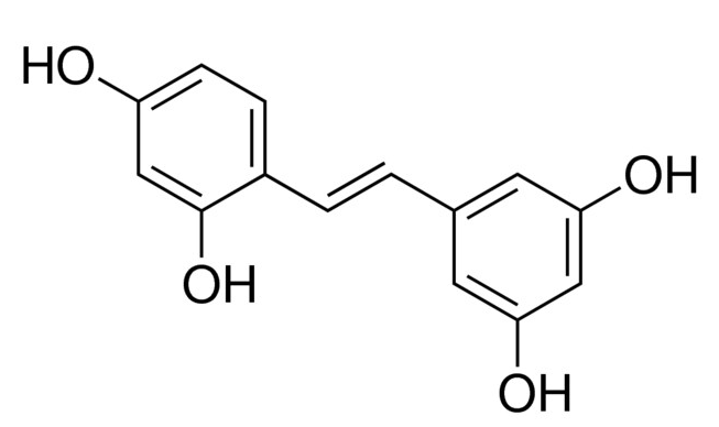 甲醇中氧化白藜芦醇溶液，100μg/mL Oxyresveratrol Solution in Methanol, 100μg/mL