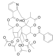 乙腈中雷公藤次碱溶液，1000μg/mL Wilforine Solution in Acetonitrile, 1000μg/mL