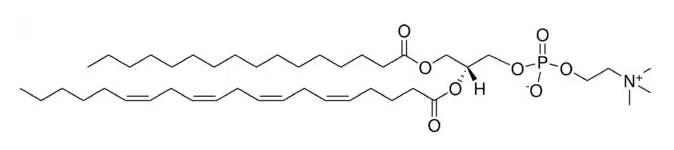 氯仿中1-棕榈酰-2-花生四烯酰-sn-甘油-3-磷酸胆碱溶液，1000μg/mL 1-Palmitoyl-2-arachidonoyl-sn-glycero-3-phosphocholine Solution in Chloroform, 1000μg/mL