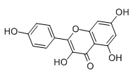 山奈酚 Kaempferol