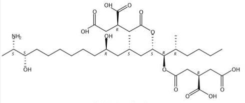 乙腈/水中伏马毒素B3(FB3)溶液，100μg/mL Fumonisin B3 Solution in Acetonitrile/Water, 100μg/mL