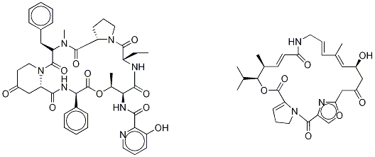 甲醇/水中去甲万古霉素盐酸盐溶液，1000μg/mL Norvancomycin hydrochloride Solution in Methanol/Water, 1000μg/mL