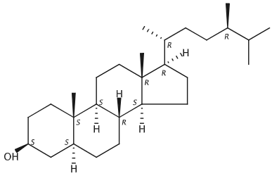 甲醇中菜油甾烷醇溶液，100μg/mL Campestanol Solution in Methanol, 100μg/mL